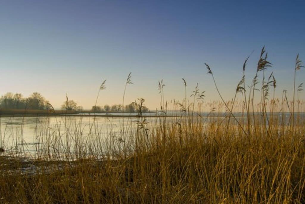 Bodensee Apartments, Sauna, Lake Walks, Free Parking, Self Checkin, Nature Reserve, Restaurants Nearby Gaissau  Eksteriør billede