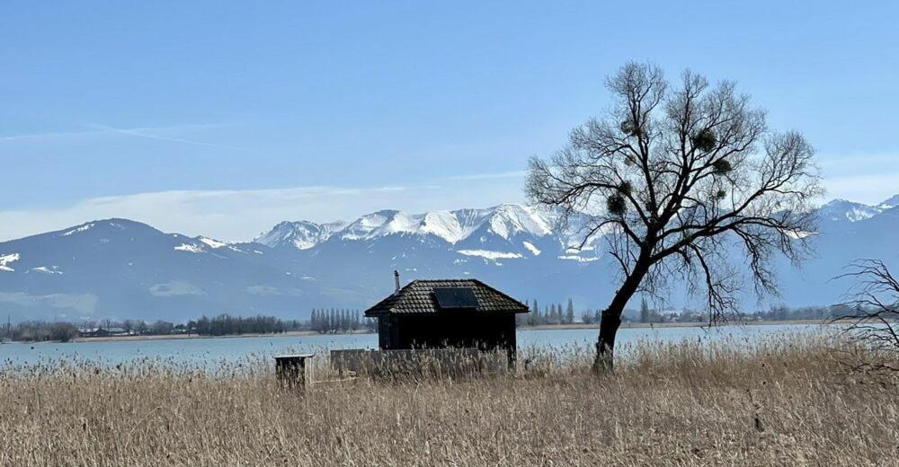 Bodensee Apartments, Sauna, Lake Walks, Free Parking, Self Checkin, Nature Reserve, Restaurants Nearby Gaissau  Eksteriør billede