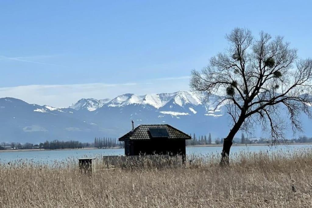 Bodensee Apartments, Sauna, Lake Walks, Free Parking, Self Checkin, Nature Reserve, Restaurants Nearby Gaissau  Eksteriør billede
