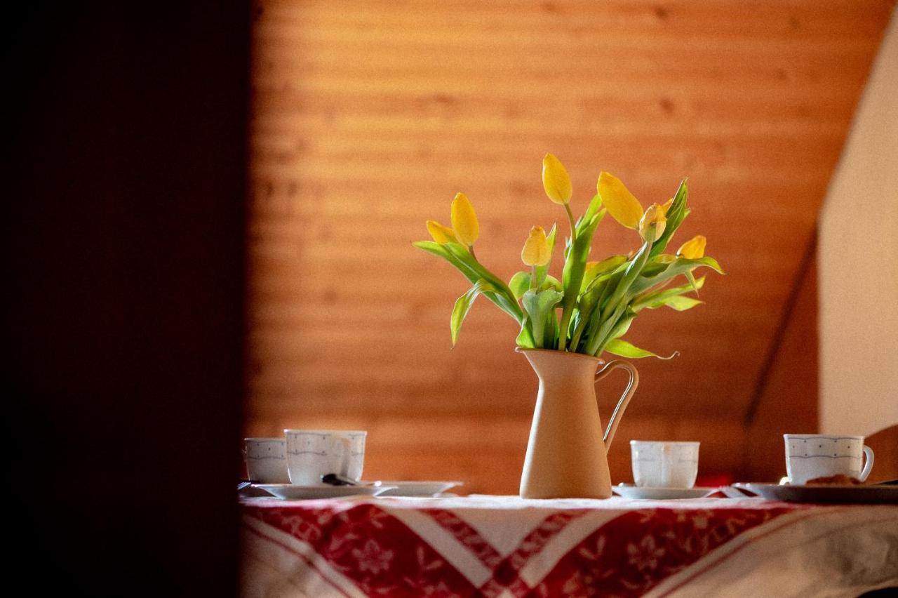 Bodensee Apartments, Sauna, Lake Walks, Free Parking, Self Checkin, Nature Reserve, Restaurants Nearby Gaissau  Eksteriør billede
