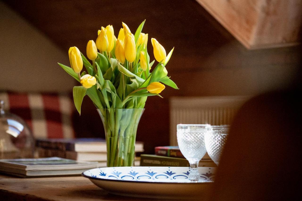 Bodensee Apartments, Sauna, Lake Walks, Free Parking, Self Checkin, Nature Reserve, Restaurants Nearby Gaissau  Eksteriør billede